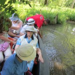 Balade en barque dans le marais poitevin