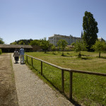 Promenade dans le parc