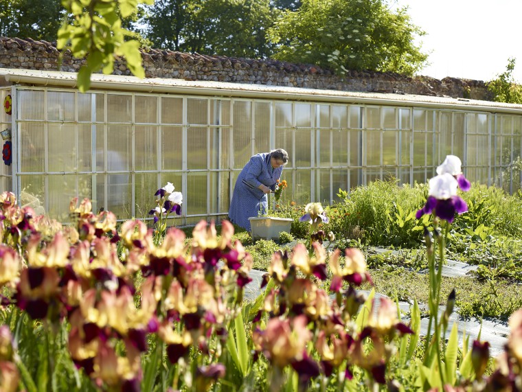 Cueillette de fleurs dans le jardin